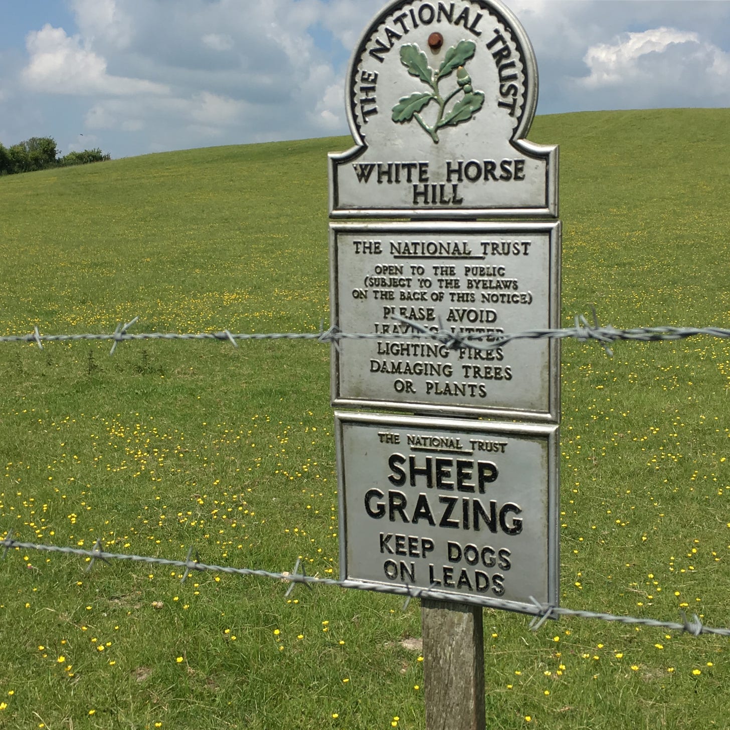 A sign announcing the National Trust site of White Horse Hill, with barbwire running past and a grass hill with yellow flowers in the background.