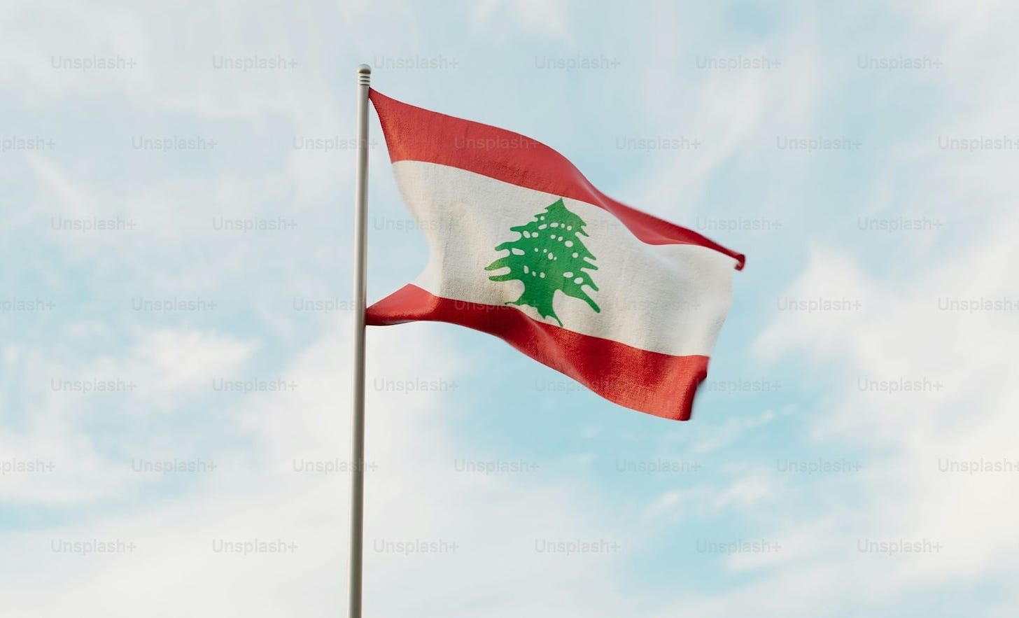 a flag with a tree on it flying in the sky