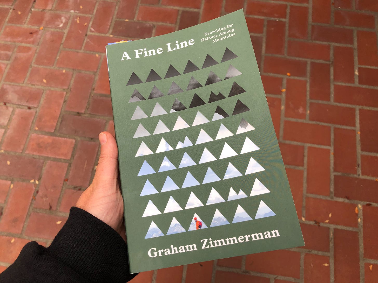 Book cover of A Fine Line by Graham Zimmerman