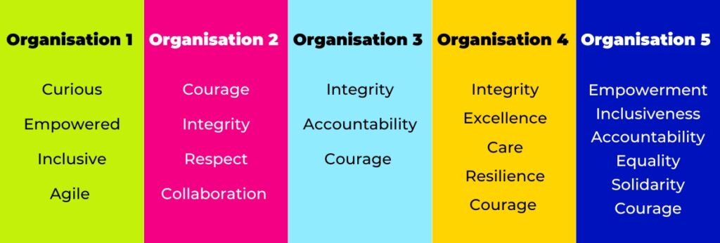 Organisation 1: Curious, empowered, inclusive, agile
Organisation 2: Courage, integrity, respect, collaboration
Organisation 3: Integrity, accountability, courage
Organisation 4: Integrity, excellence, care, resilience, courage
Organisation 5: Empowerment, inclusiveness, accountability, equality, solidarity, courage