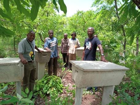 Farmers in Ghana pose with on-farm beehives