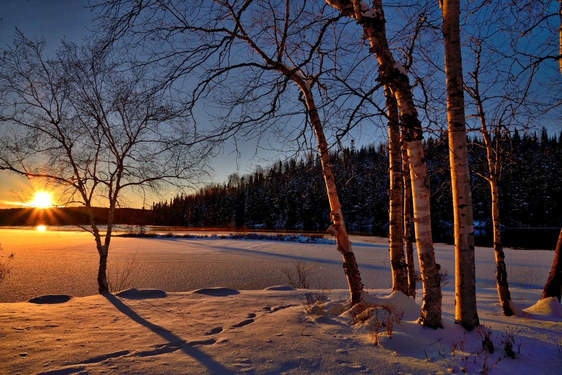 Free A serene winter sunset casting shadows on a frozen lake surrounded by snow and trees. Stock Photo