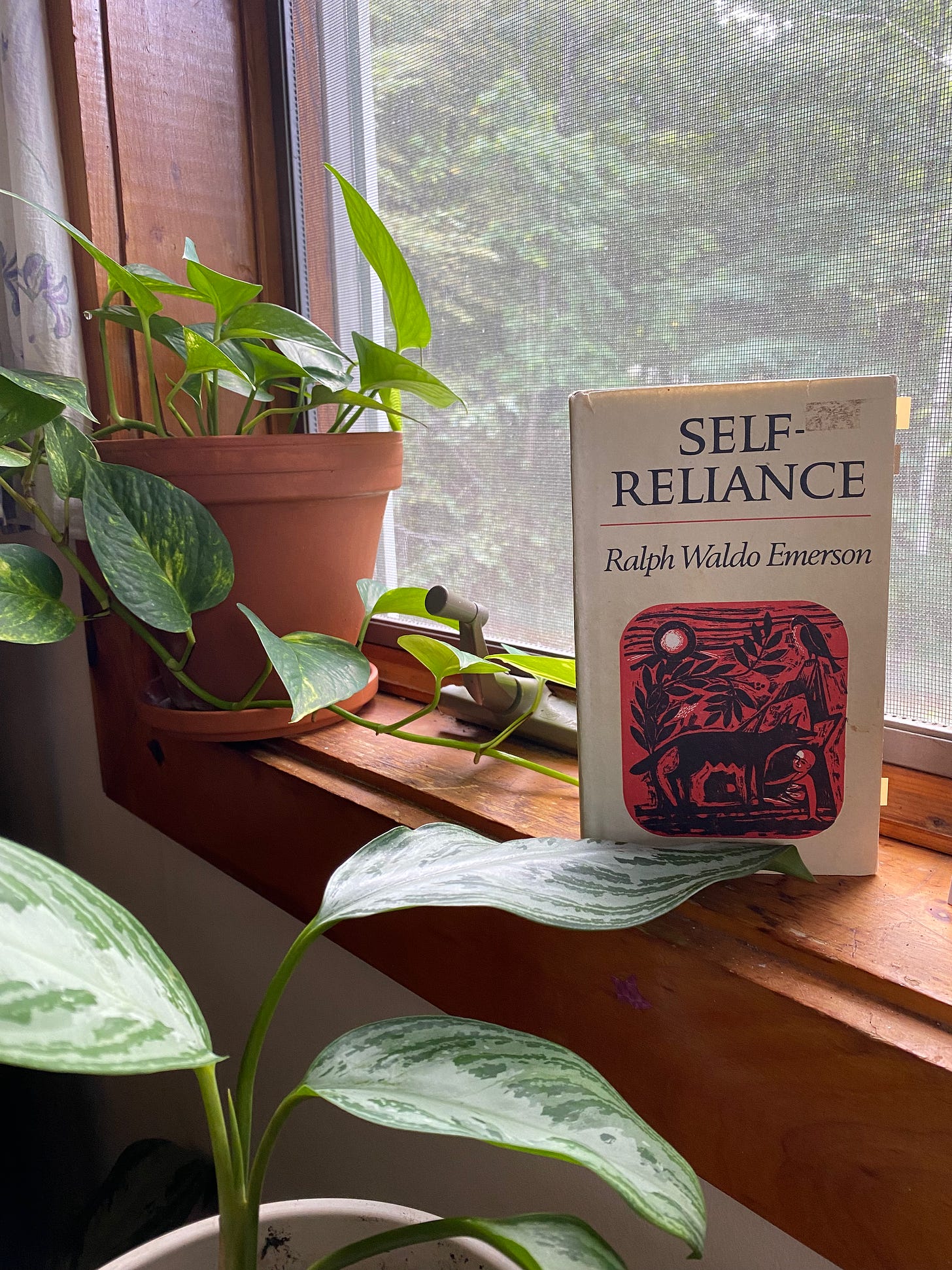 Self-Reliance is propped on a windowsill next to a viney potted plant.