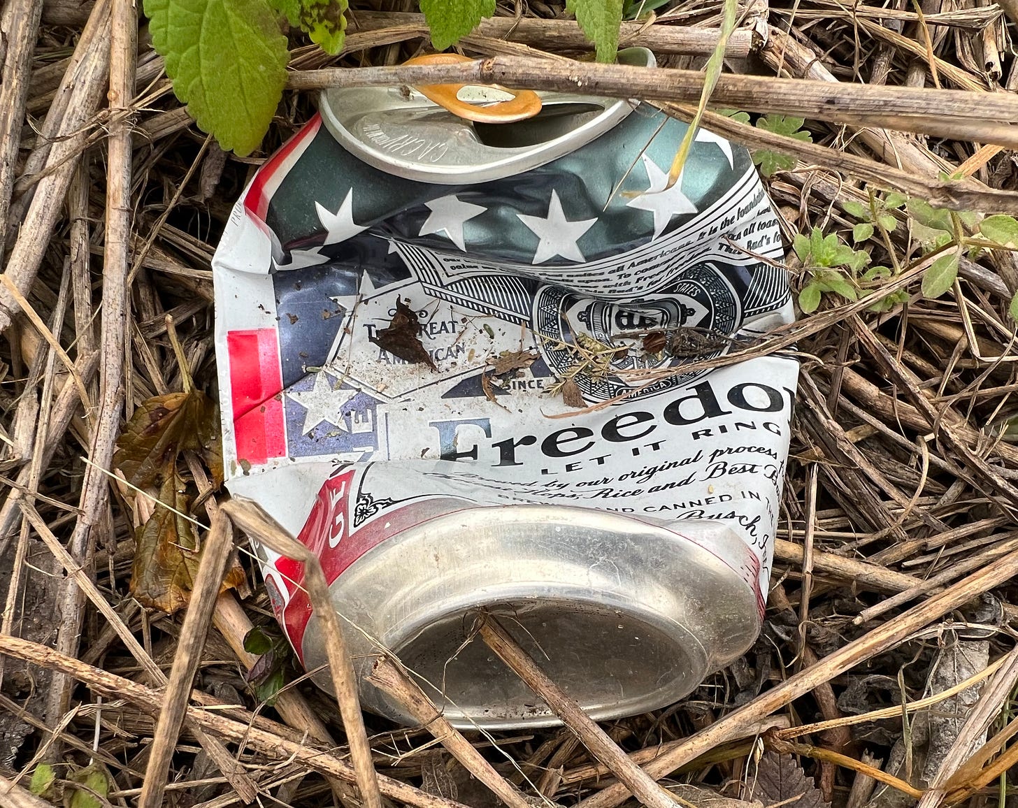 Color photo of a crushed and empty can of Freedom beer (seasonally re-branded Budweiser)