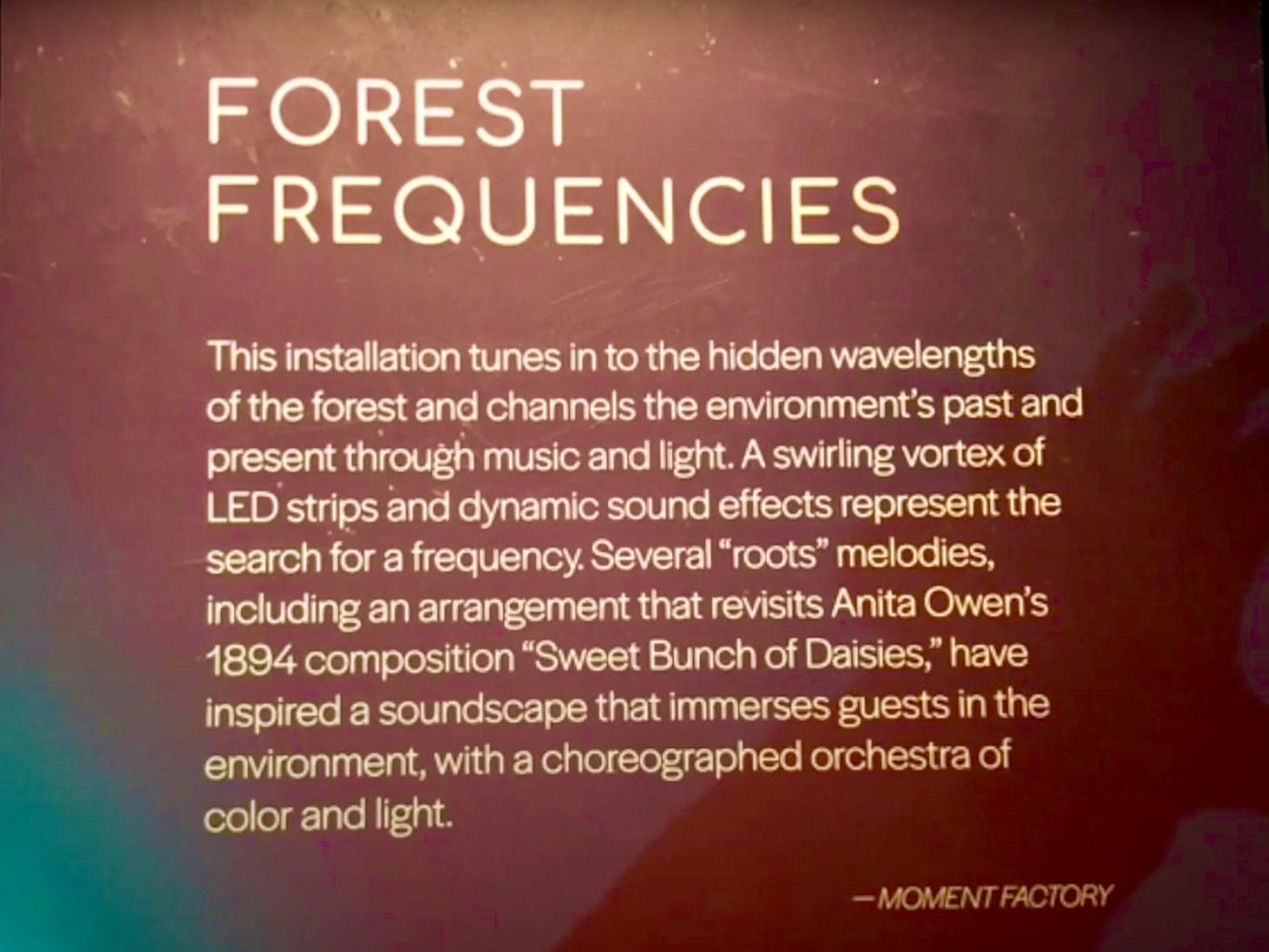 Forest Frequencies: This installation tunes in to the hidden wavelengths of the forest and channels the environment's past and present through music and light. A swirling vortex of LED strips and dynamic sound effects represent the search for a frequency. Several "roots" melodies, including an arrangement that revisits Anita Owen's 1894 composition "Sweet Bunch of Daisies," have inspired a soundscape that immerses guests in the environment, with a choreographed orchestra of color and light. Moment Factory