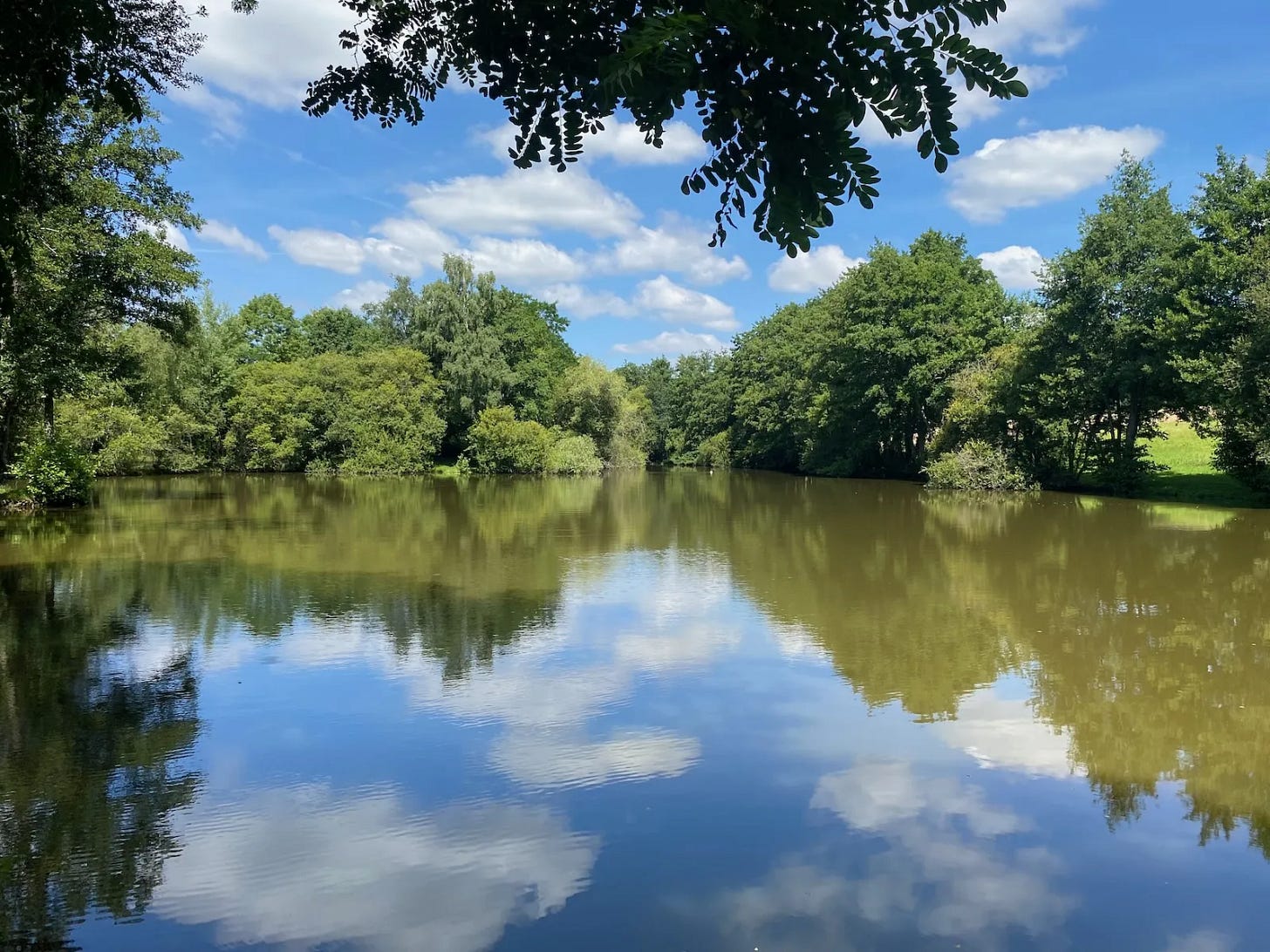 Entre forêts et champs Entre forêts et champs