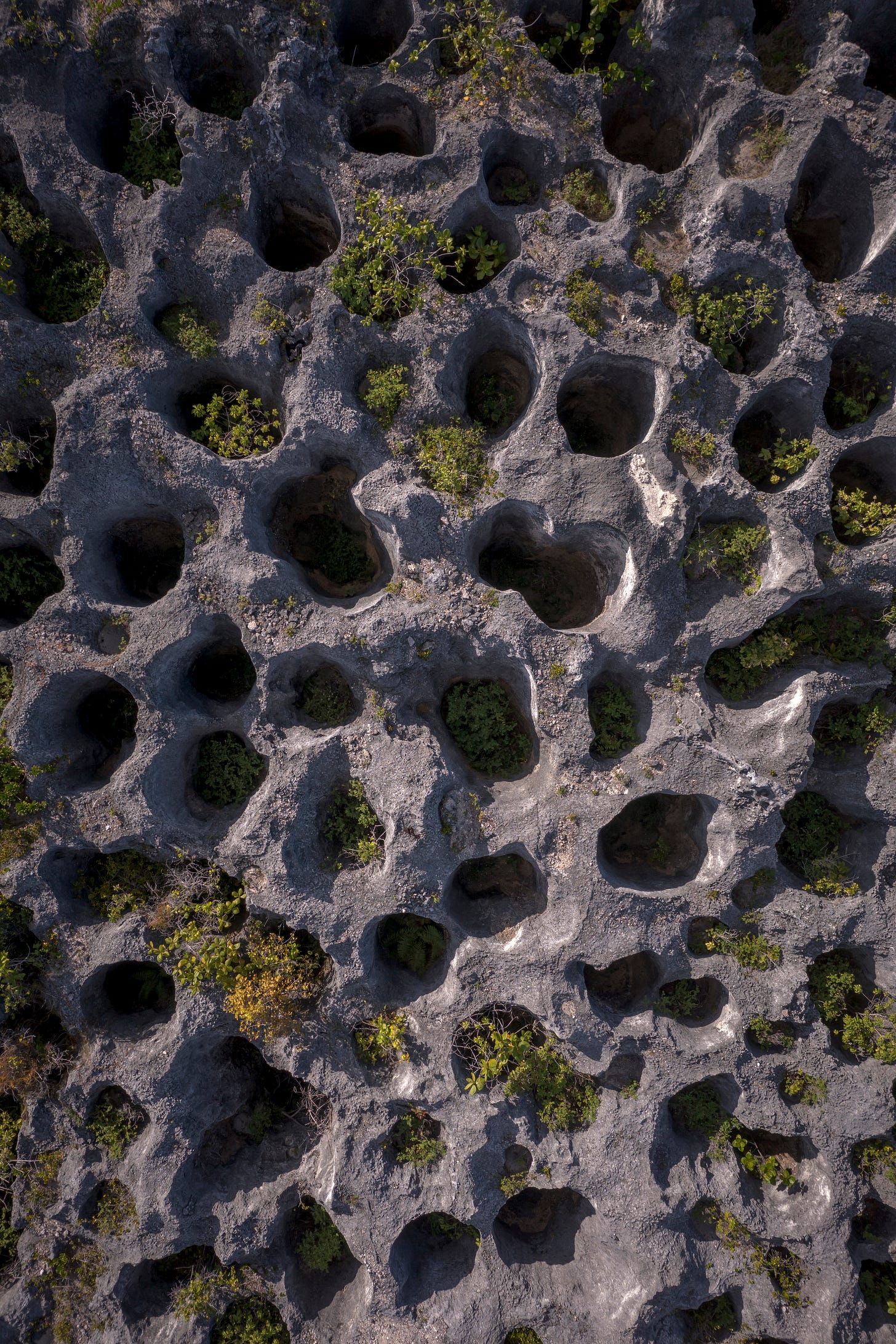 Mining holes Mining holes