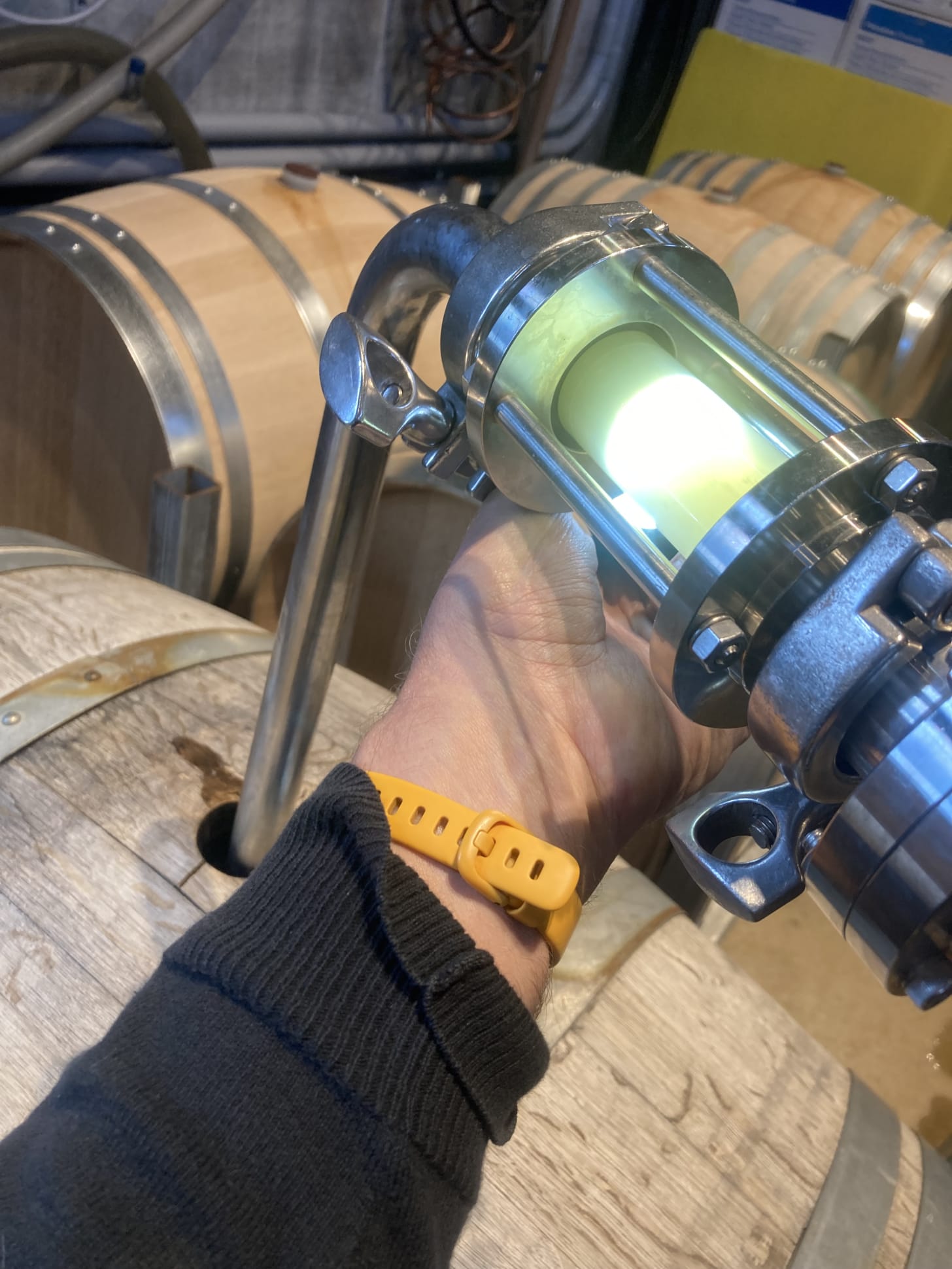 A bright flashlight illuminates Chardonnay grape juice as it travels from a settling tank through a barrel spear into a waiting oak barrel.