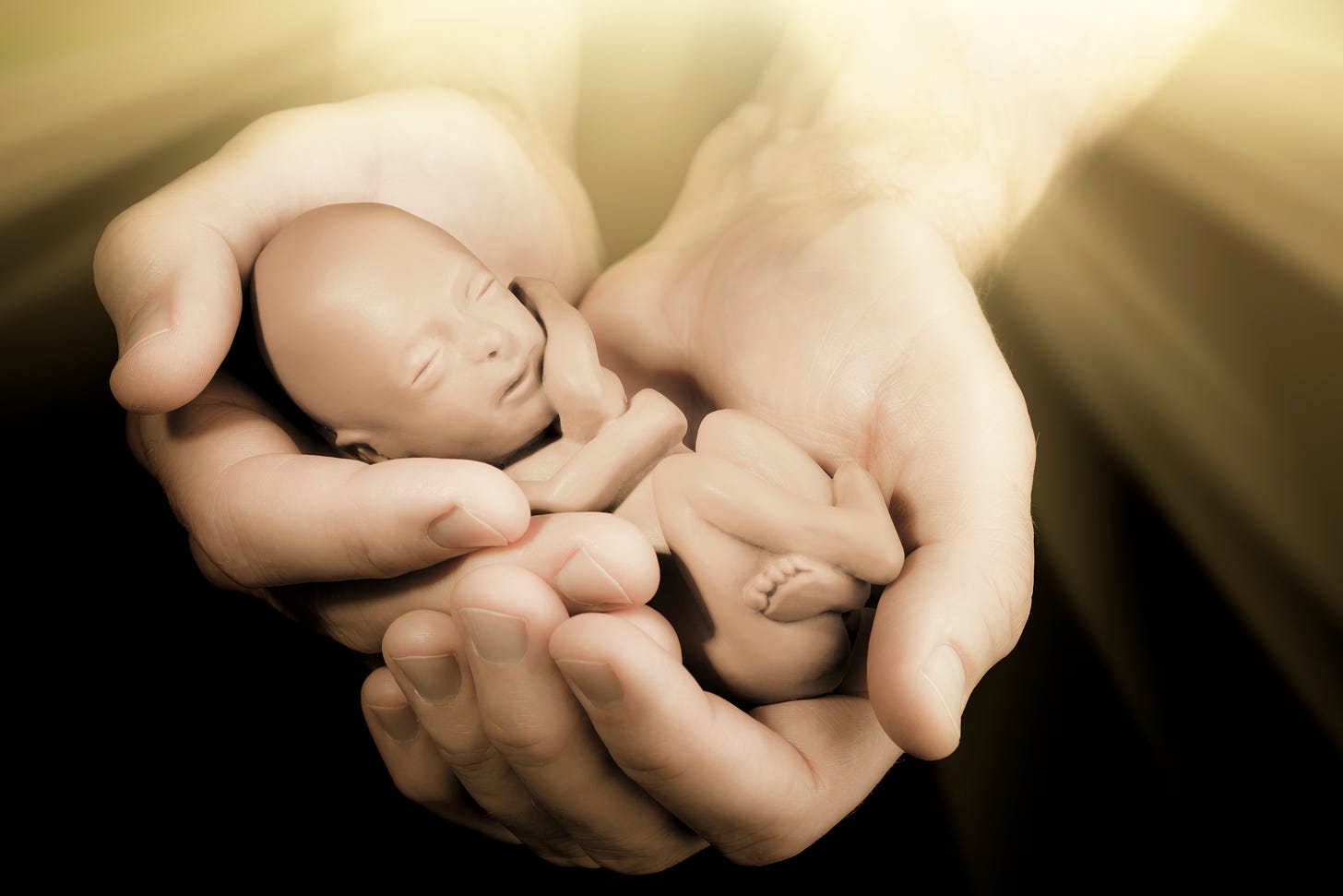 preborn baby, cradled in person's hands, second-trimester abortion