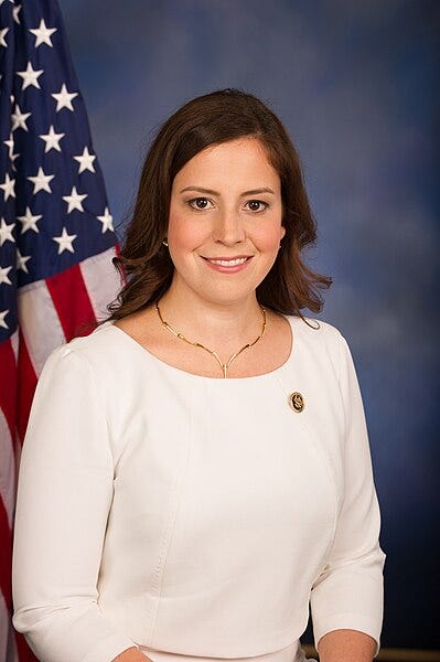 File:Elise Stefanik official congressional photo 114th congress.jpg