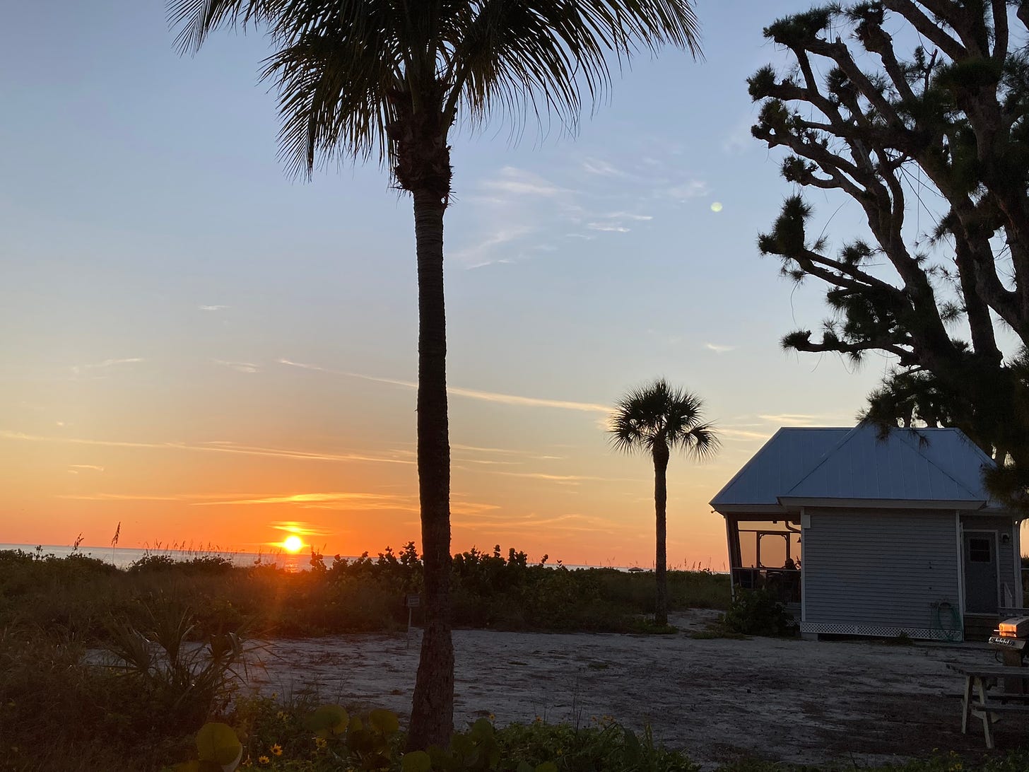 Sunset, palm tree, cabin on the beach