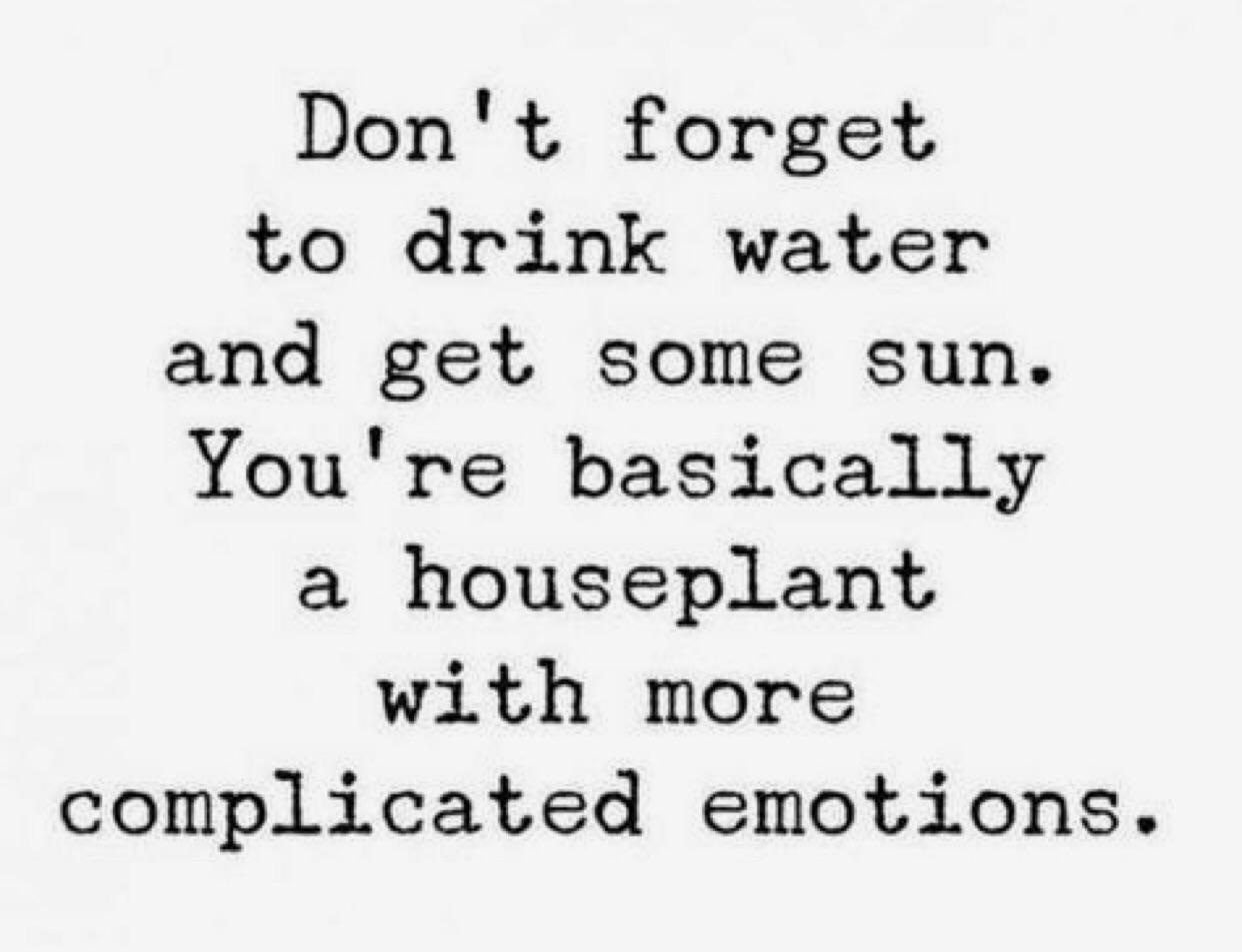 r/wholesomememes - Don't forget to drink water and get some sun. You're basically a houseplant with more complicated emotions.