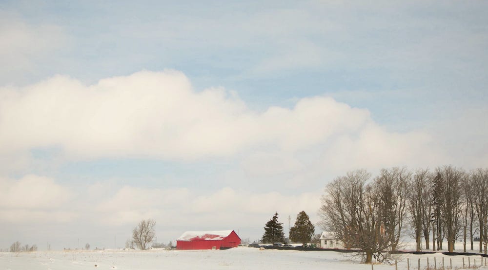 A copse of trees line a rural driveway towards a house and a red barn against a field of snow with clouds hovering above it. Photo credit: Nancy Forde. All rights reserved. nancyforde.com