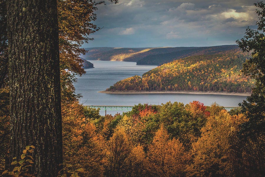 Fall at the Kinzua Reservoir by Allison Schanbacher