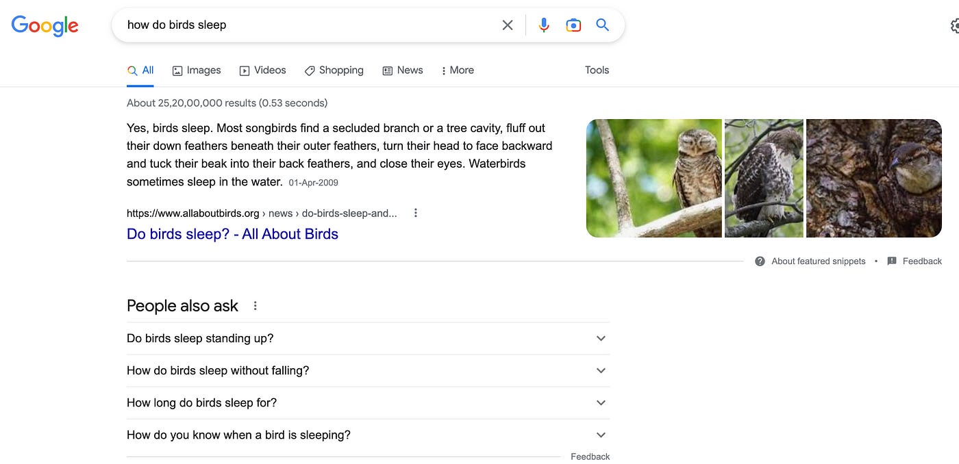 Google results for “How do birds sleep” query.