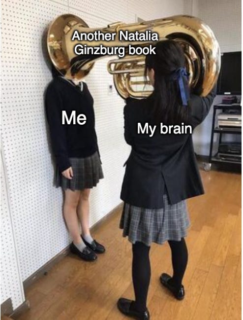 Meme of a girl putting a tuba on another girl's face. The tuba is labeled "another natalia ginzburg book, the first girl is labeled "my brain," and the second girl is labeled "me."