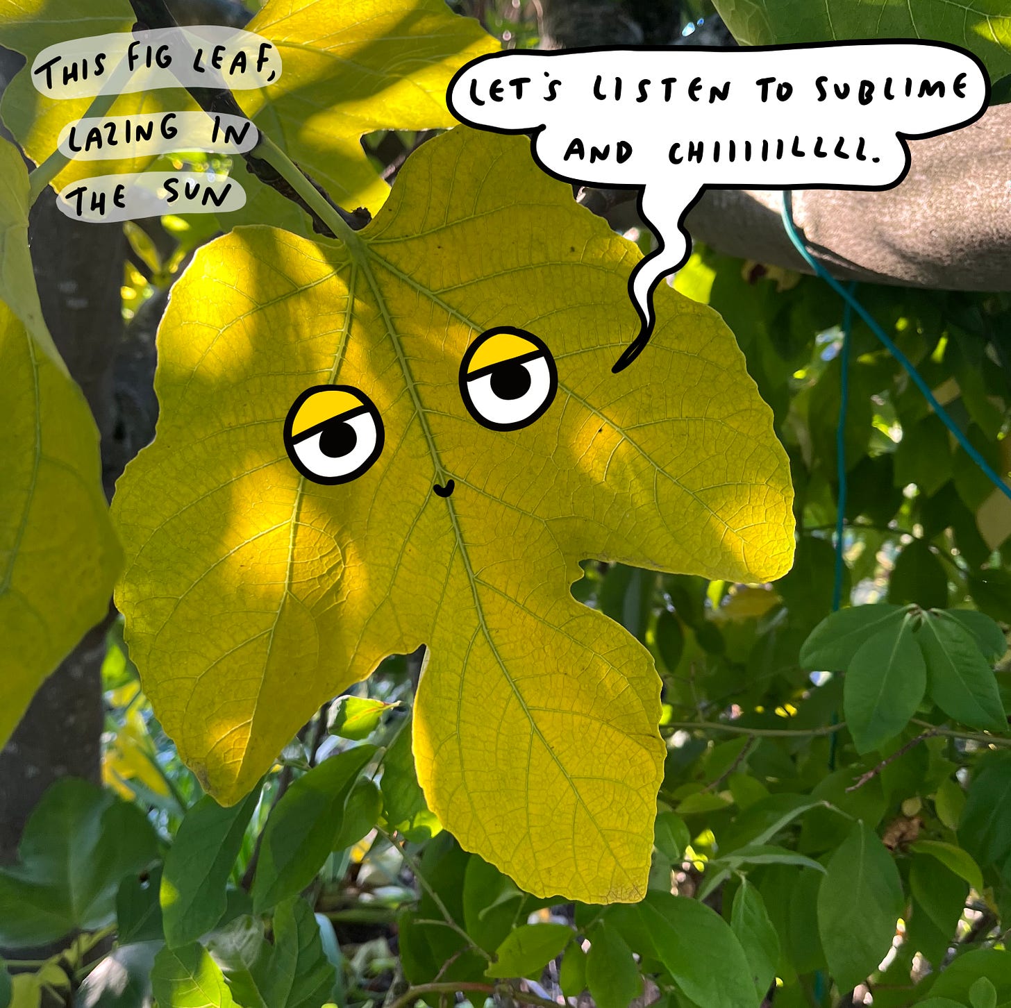 A fig leaf with cartoon eyes. Says, "let's listen to sublime and chill."