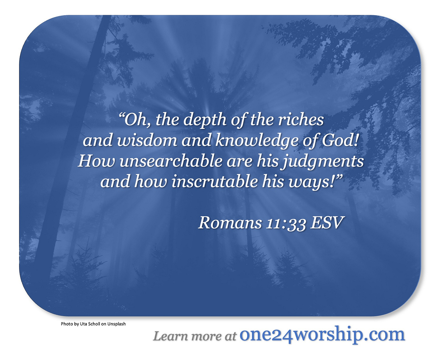 Image of sunbeams streaming from behind trees in a forest with Romans 11:33 superimposed.