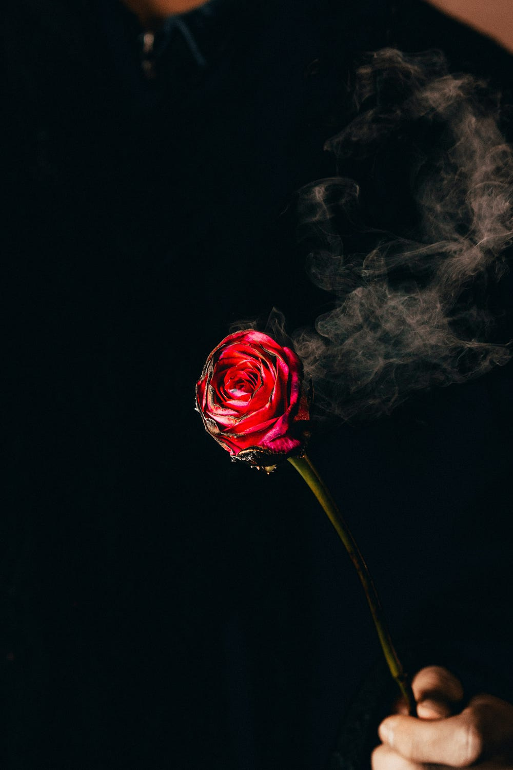 A rose, smoke emanates from the rose, signifying heartbreak.