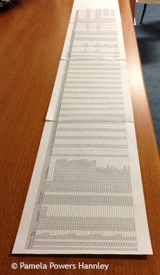 A four-foot spreadsheet of Affordable Care Act options available to small businesses in Pima County.