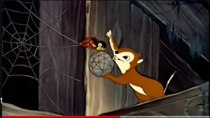 An angry spider confronts a squirrel who is winding its web material into a ball 