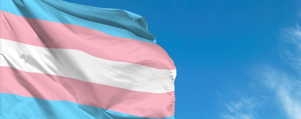 The pink, blue, and white trans pride flag waves in the wind with a blue sky in the background.