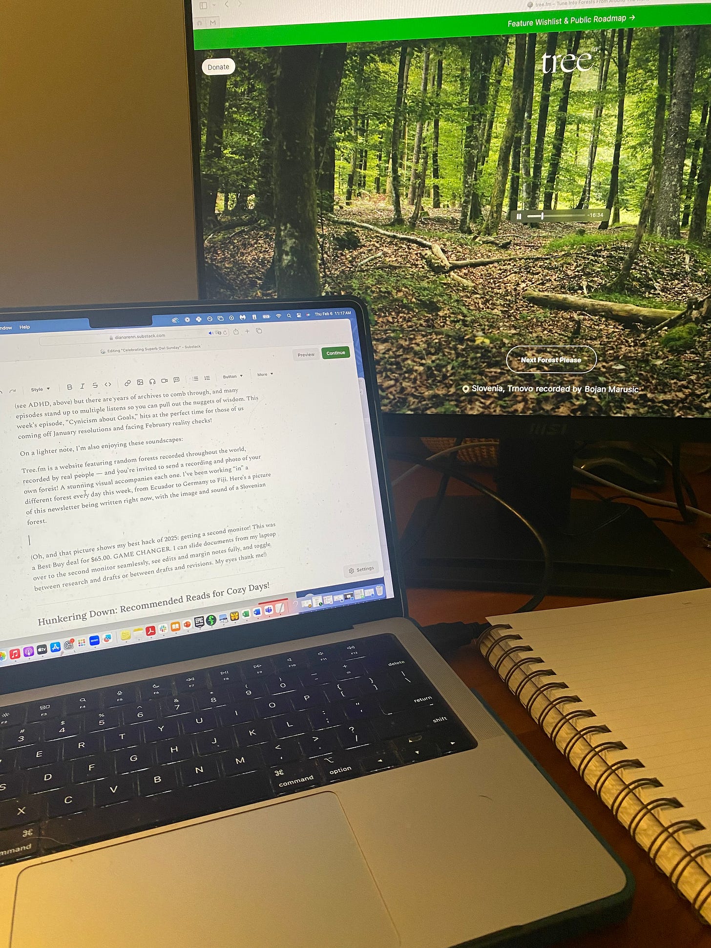 Photo of the author's laptop and second monitor; a copy of the newsletter in progress is on the laptop, and an image of a forest from the website tree.fm appears filling the large screen of the second monitor. A paper notebook is also visible on the desk.