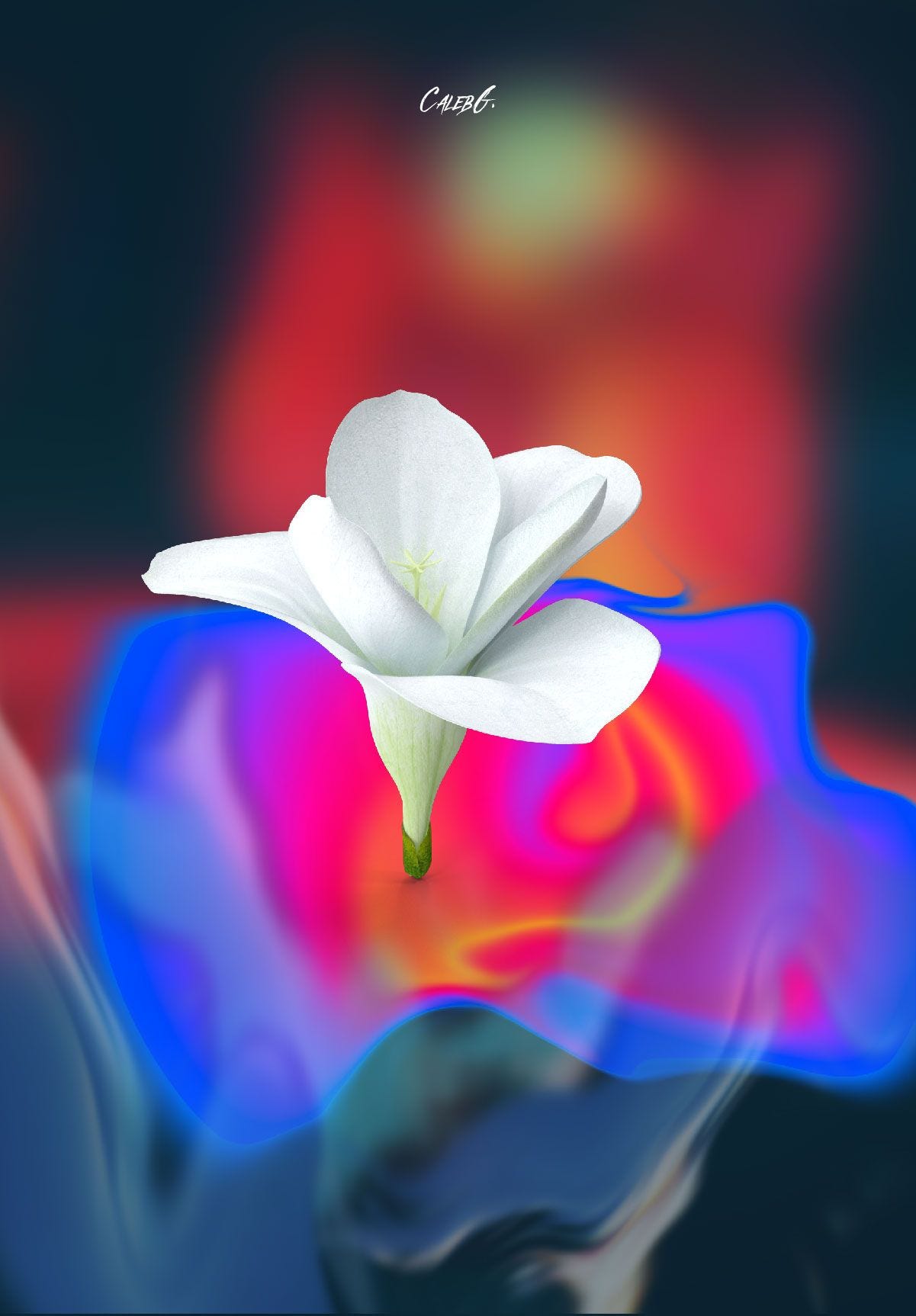 A digital artwork of a white flower with a multicolor smokey background.