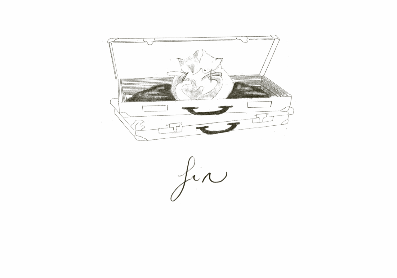 Soft pencil sketch of two cats curled up in an embrace inside an open suitcase, with the word “fin” handwritten below in cursive, suggesting the end of a journey or story.