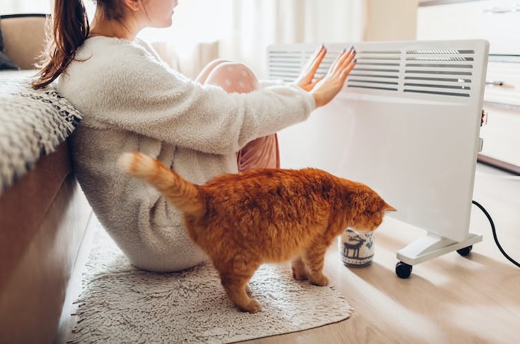 Woman warming her hands with cat next to space heater