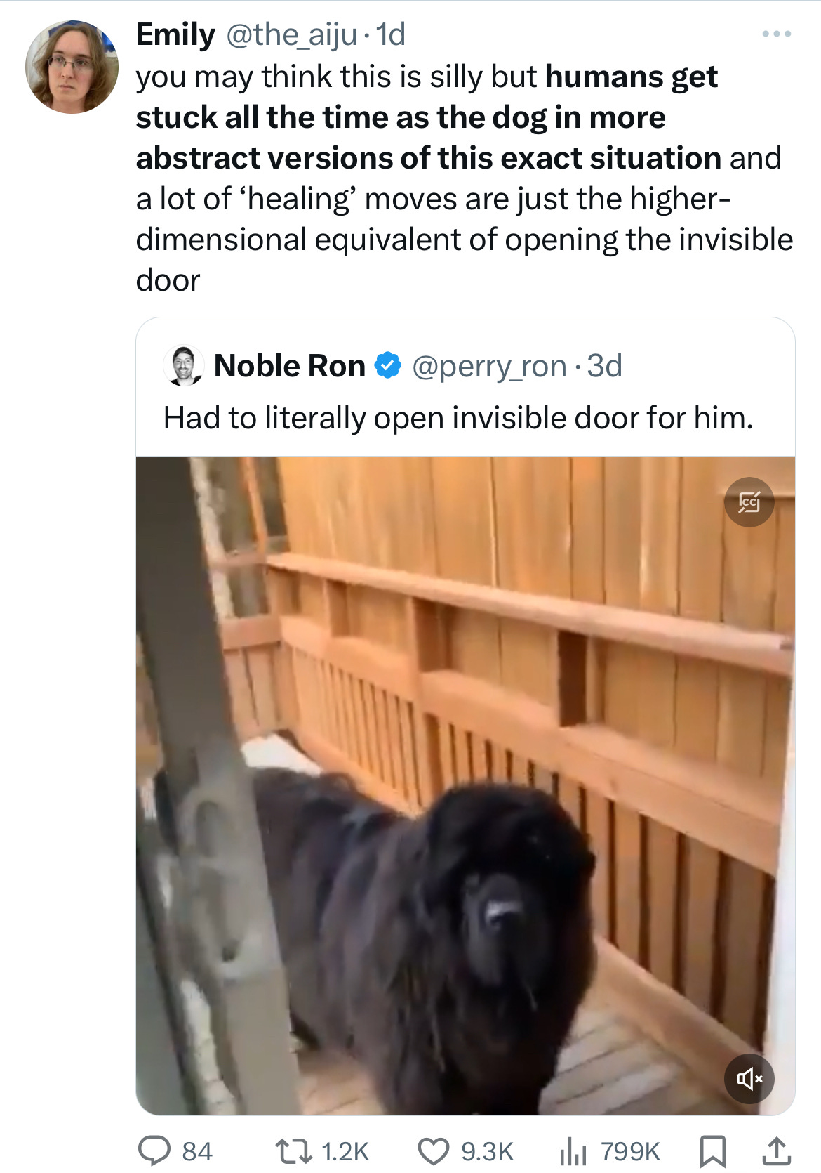 "you may think this is silly but humans get stuck all the time as the dog in more abstract versions of this exact situation and a lot of ‘healing’ moves are just the higher-dimensional equivalent of opening the invisible door"