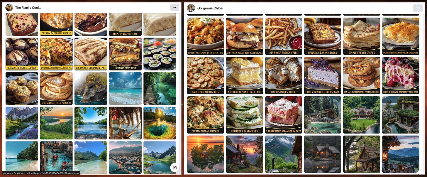 photo galleries for "The Family Cooks" and "Gorgeous Chloé", scrolled to the point where the pages switched from AI-generated outdoor scenes to AI-generated food images