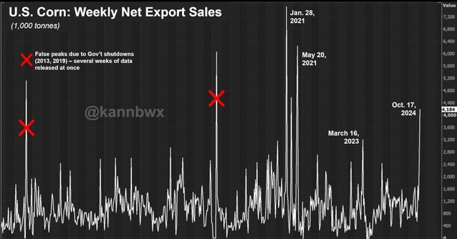 US corn export sales post multiyear highs, even without China | Reuters