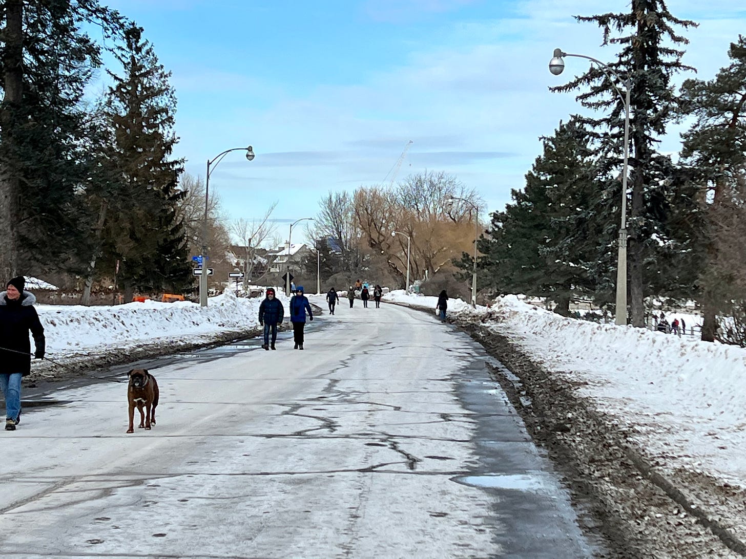 Pedestrians walking on a closed-to-cars Queen Elizabeth Driveway during the winter, with snow banks on either side of a cleared roadway.