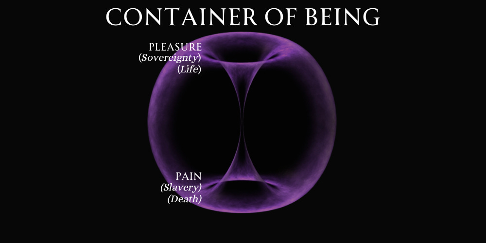 A violet colored torus or toroidal field. The top is labeled with the words pleasure, sovereignty, and life. The bottom is labeled with the words pain, slaver, and death. This is the container of being.