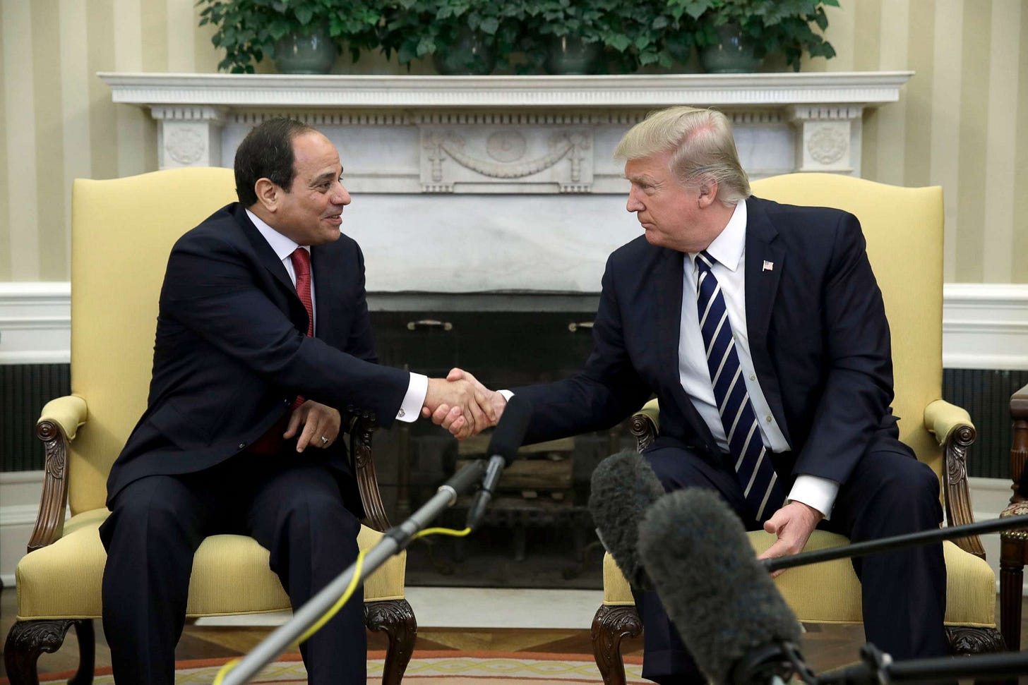 Critics seize on DC visit of Egyptian President Abdel-Fattah El-Sisi to  protest 'power grab' - ABC News