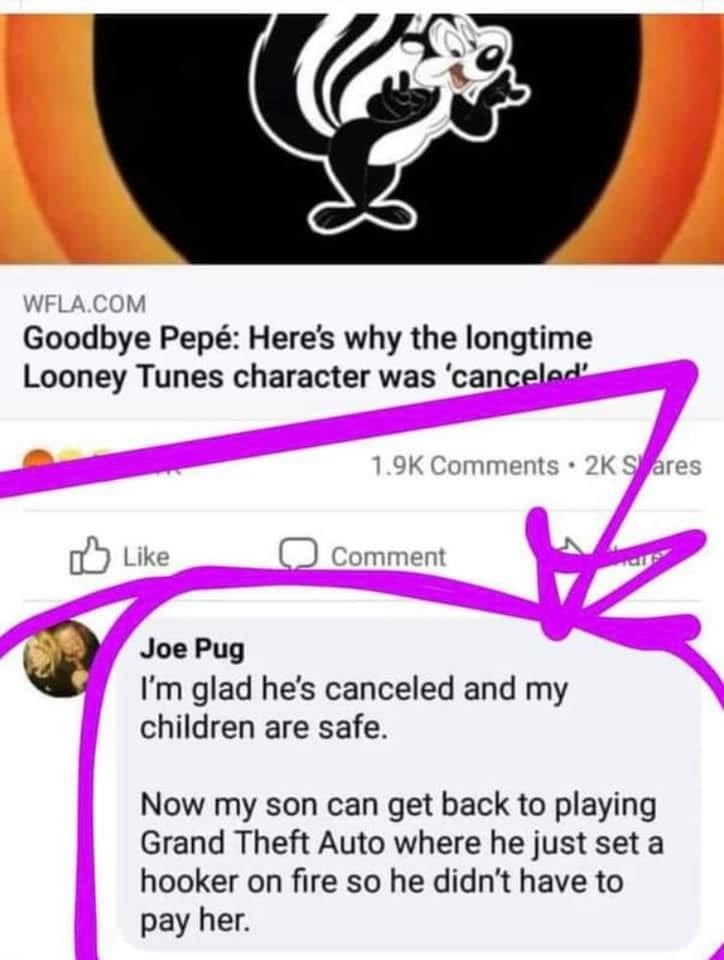 May be an image of text that says 'WFLA.COM Goodbye Pepé: Here's why the longtime Looney Tunes character was 'cancelod' 1.9K Comments Like 2K 2KShares Sares Comment Joe Pug I'm glad he's canceled and my children are safe. Now my son can get back to playing Grand Theft Auto where he just set a hooker on fire so he didn't have to pay her.'