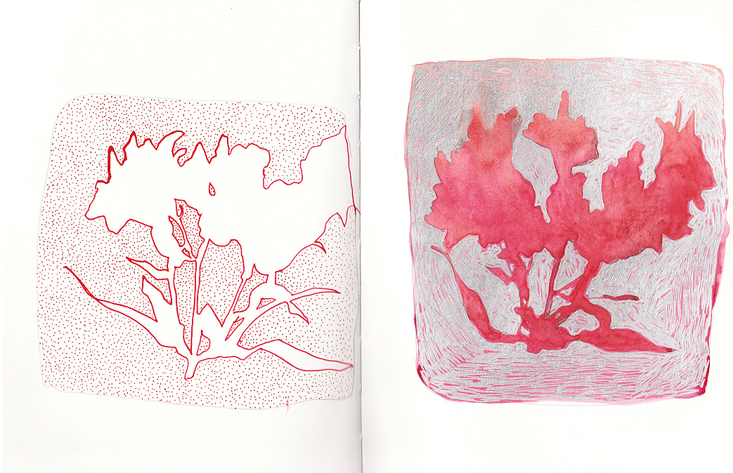 sketchbook drawing abstract red plants
