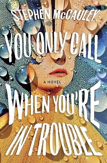 cover of You Only Call When You're In Trouble by Stephanie McCauley