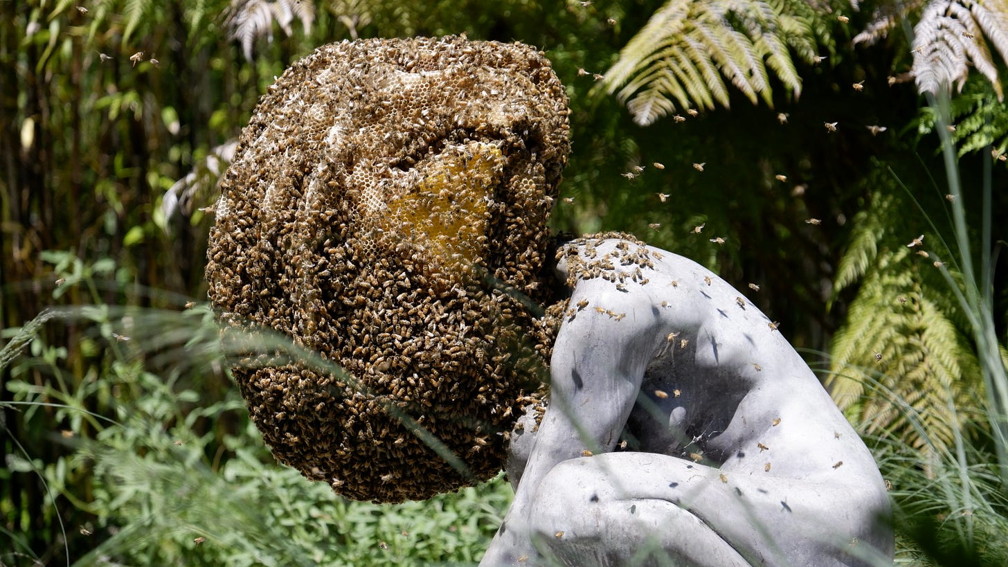 an image of a sculpture called exomind, depicting a crouched woman with an actual hive of bees surrounding her head