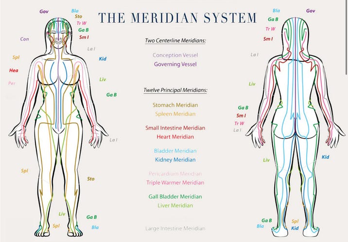 Illustrating the Meridian System that can be felt in greater detail while doing psychedelics.