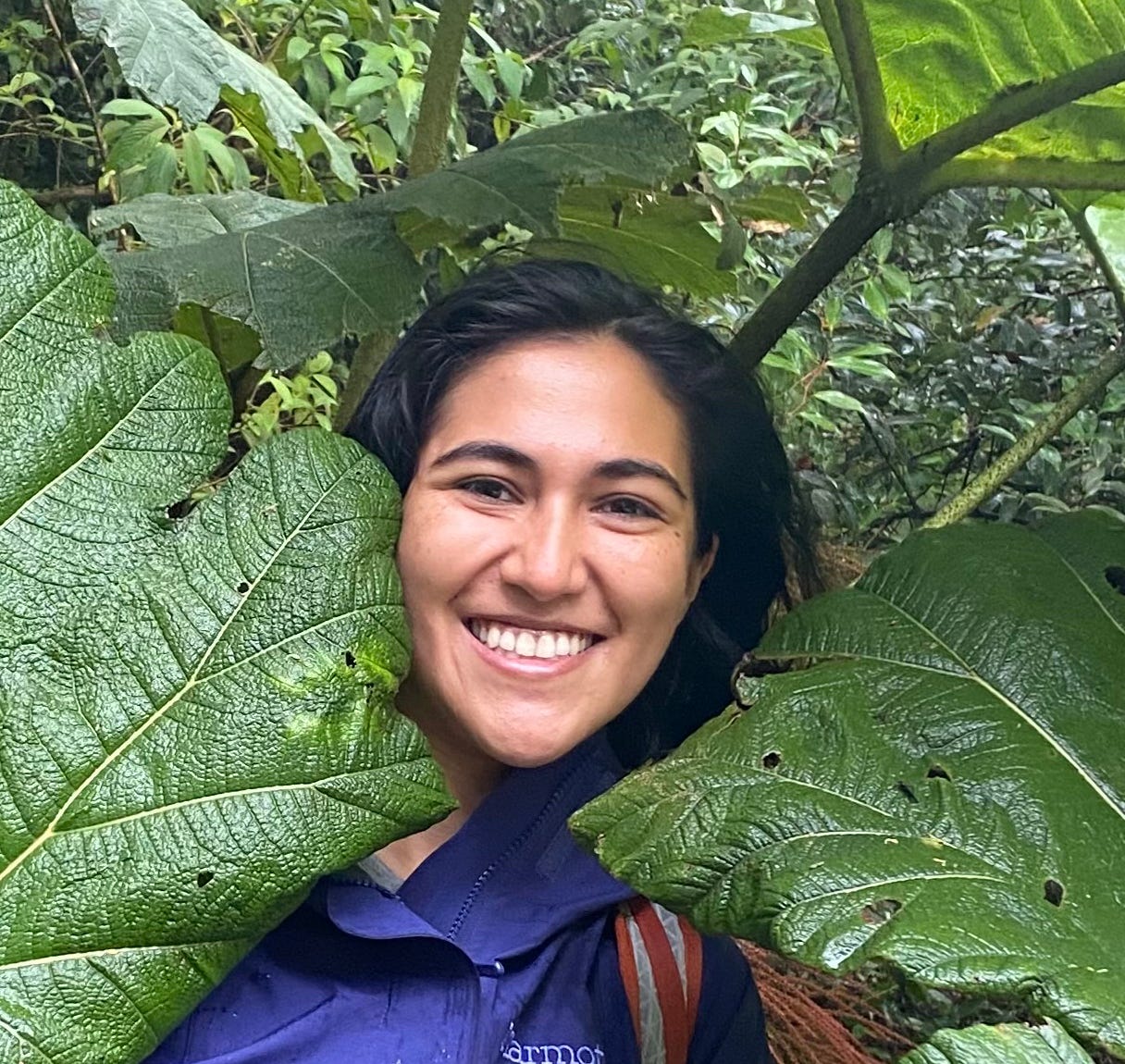 Donate to Researcher Luciana and HRW to fight deforestation.