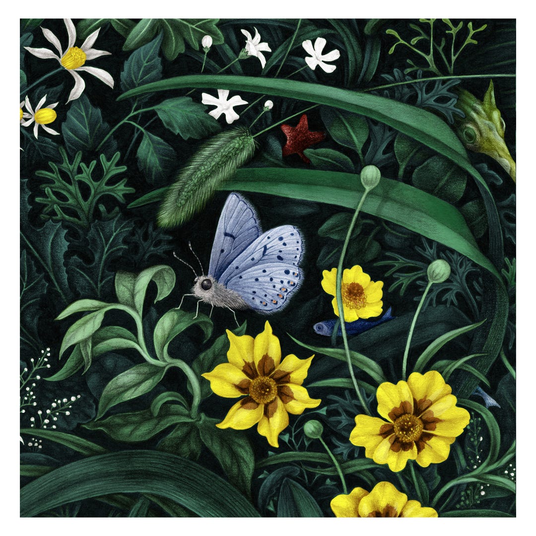 illustration of a blue butterfly surrounded by wild green leaves and white and yellow flowers. Sea creatures swim in the background.