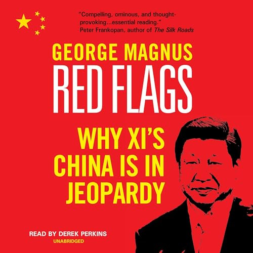 Red Flags Audiobook By George Magnus cover art