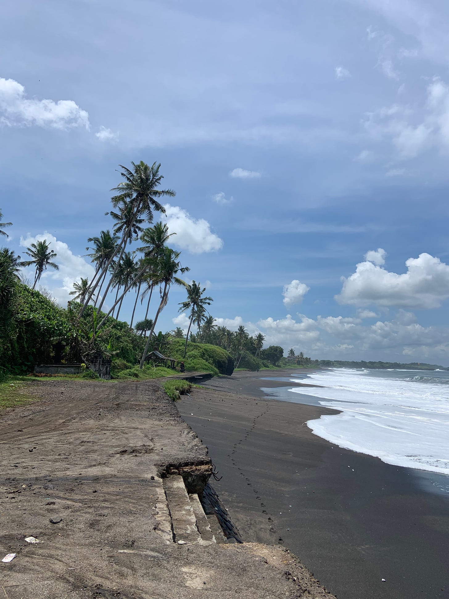A beach lined with palm trees and footprints in the sand while waves wash onto shore