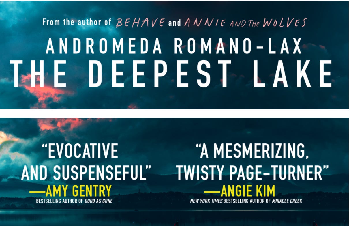 Banner ad showing images of the cover of The Deepest Lake, along with blurbs from Amy Gentry and Angie Kim