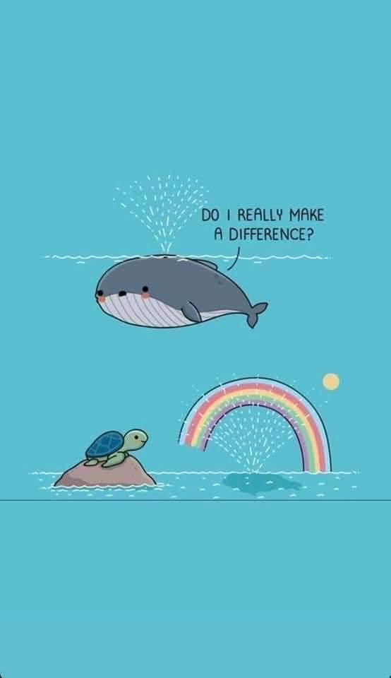 Cute comic of a whale, thinking "do I really make a difference?" and a turtle sitting on a rock, looking happily at a rainbow and the sun over the water