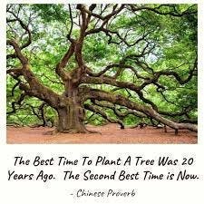 A tree with many branches

AI-generated content may be incorrect.