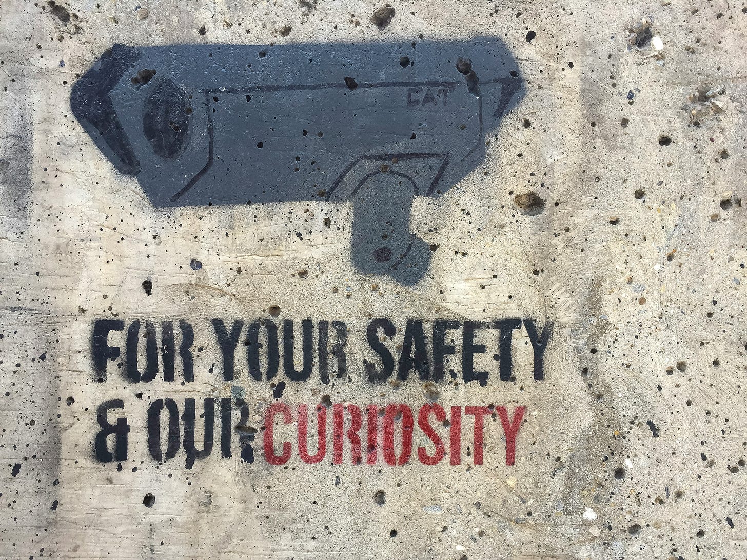 Spray paint surveillance camera and words stating "For Your Safety & Our Curiosity"
