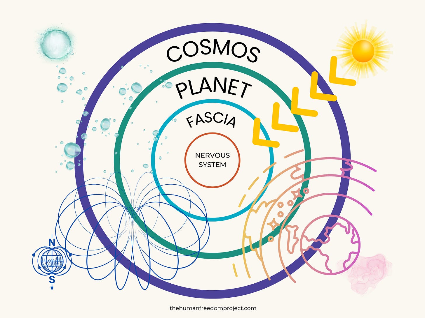 cosmos, planet, fascia, nervous system